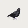 Puebco Crow 1 (Small)< Homegoods