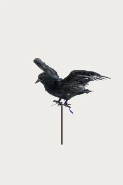 Puebco Flying Crow< Homegoods