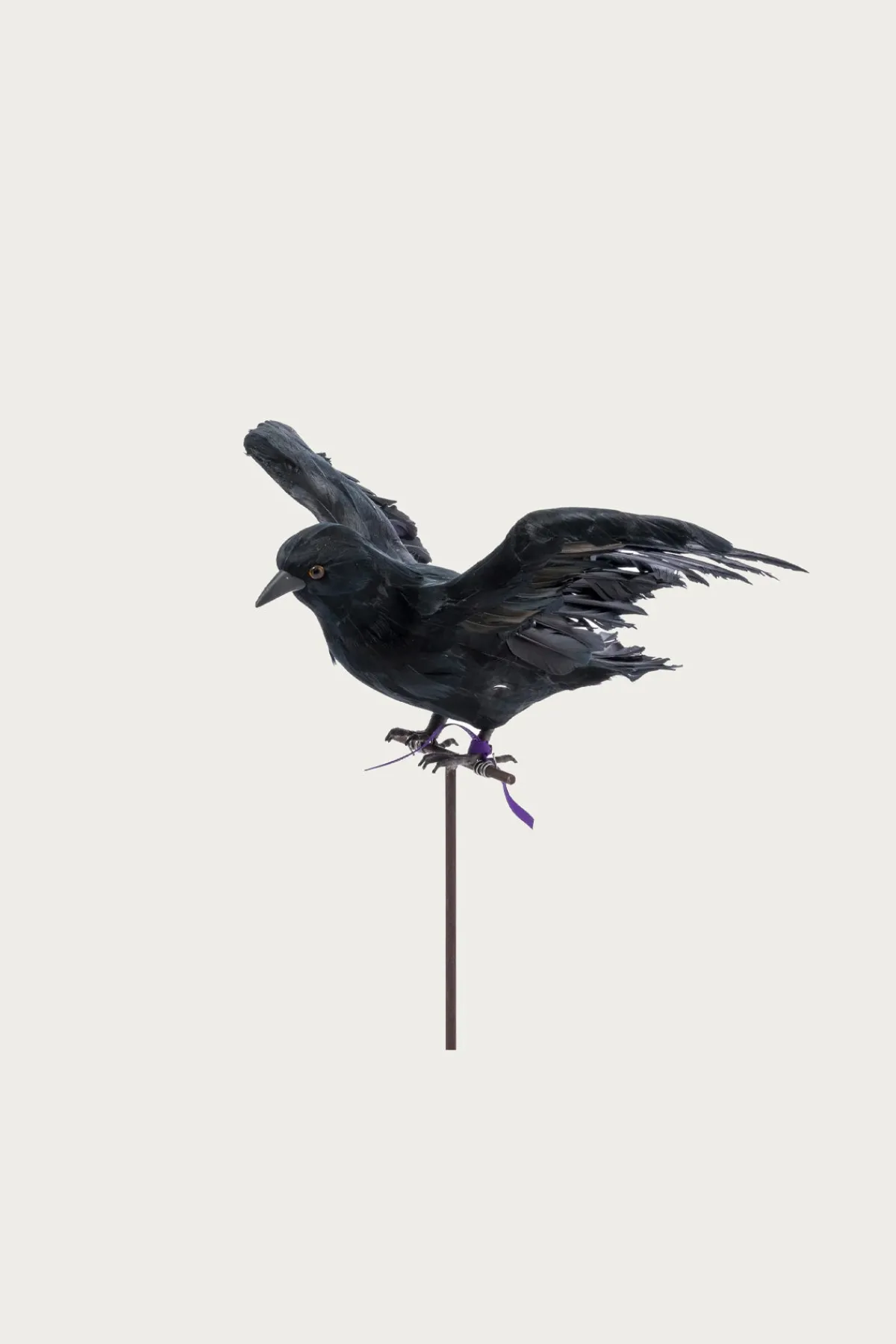 Puebco Flying Crow< Homegoods