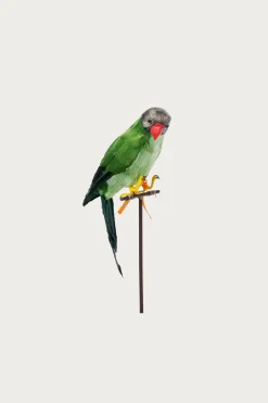 Puebco Green Parrot< Homegoods