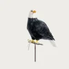 Puebco Large Eagle< Homegoods
