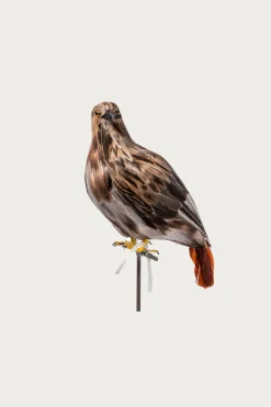 Puebco Large Hawk< Homegoods