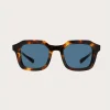 Native Sons Eyewear Matheson - Havana Tortoise< Eyewear|Accessories