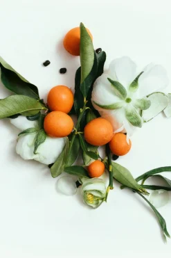 CORPUS Neroli Deodorant< Apothecary