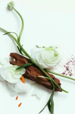 CORPUS Third Rose Deodorant< Apothecary