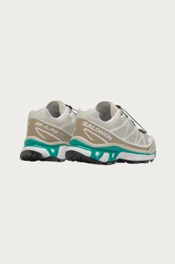 Salomon Advanced XT-6 - Rainy Day/Chinchilla/Dynasty Green< Footwear